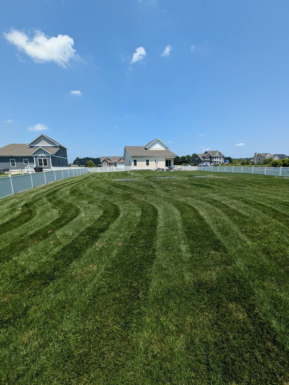 Shire Lawn 6.jpg