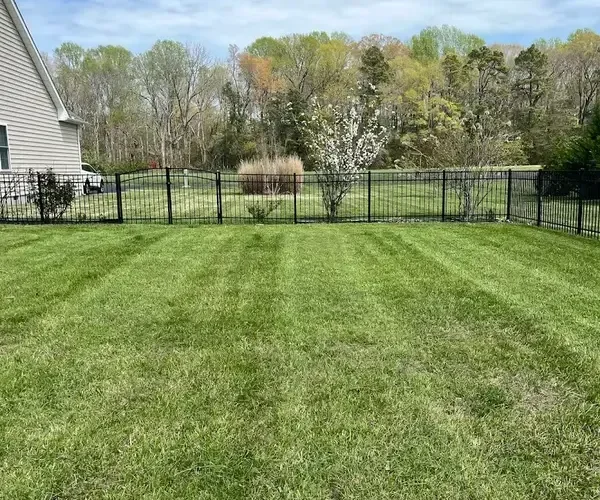 completed mowing service in milton, de yard 