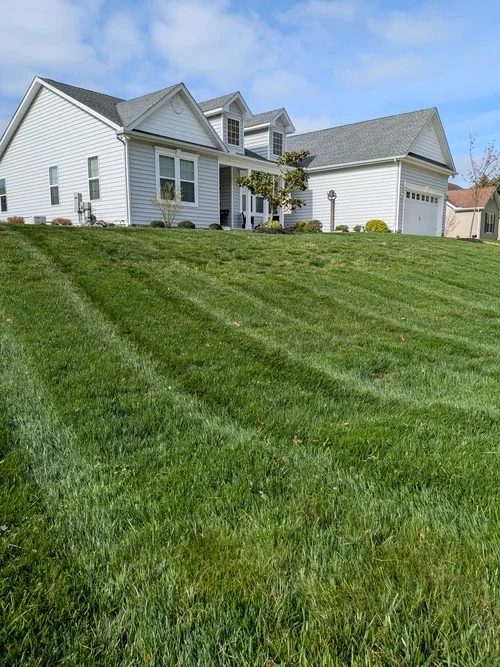 White suburban house with a large front yard and well-maintained lawn, blue sky with some clouds in the background.
