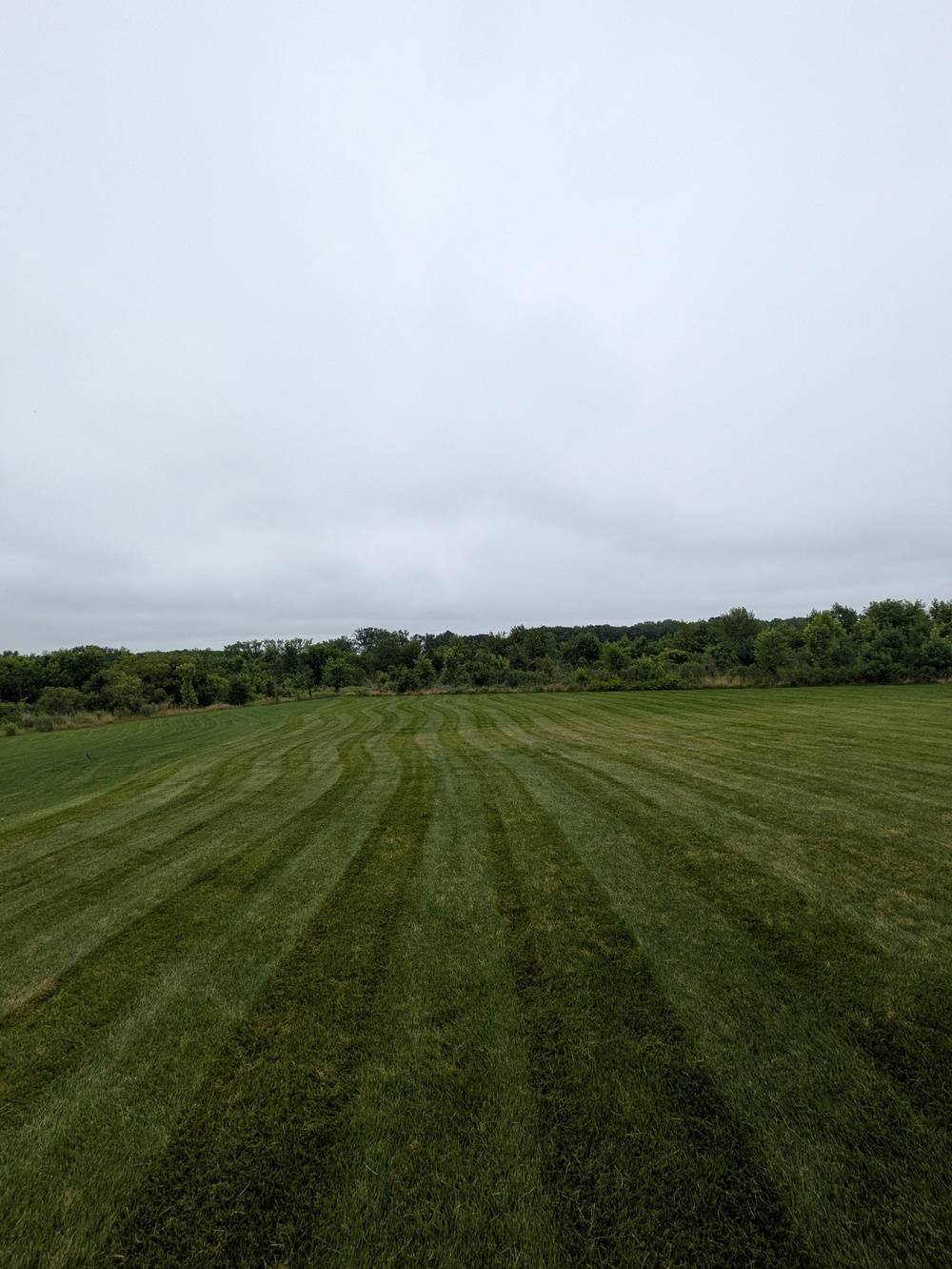 Shire Lawn 5.jpg