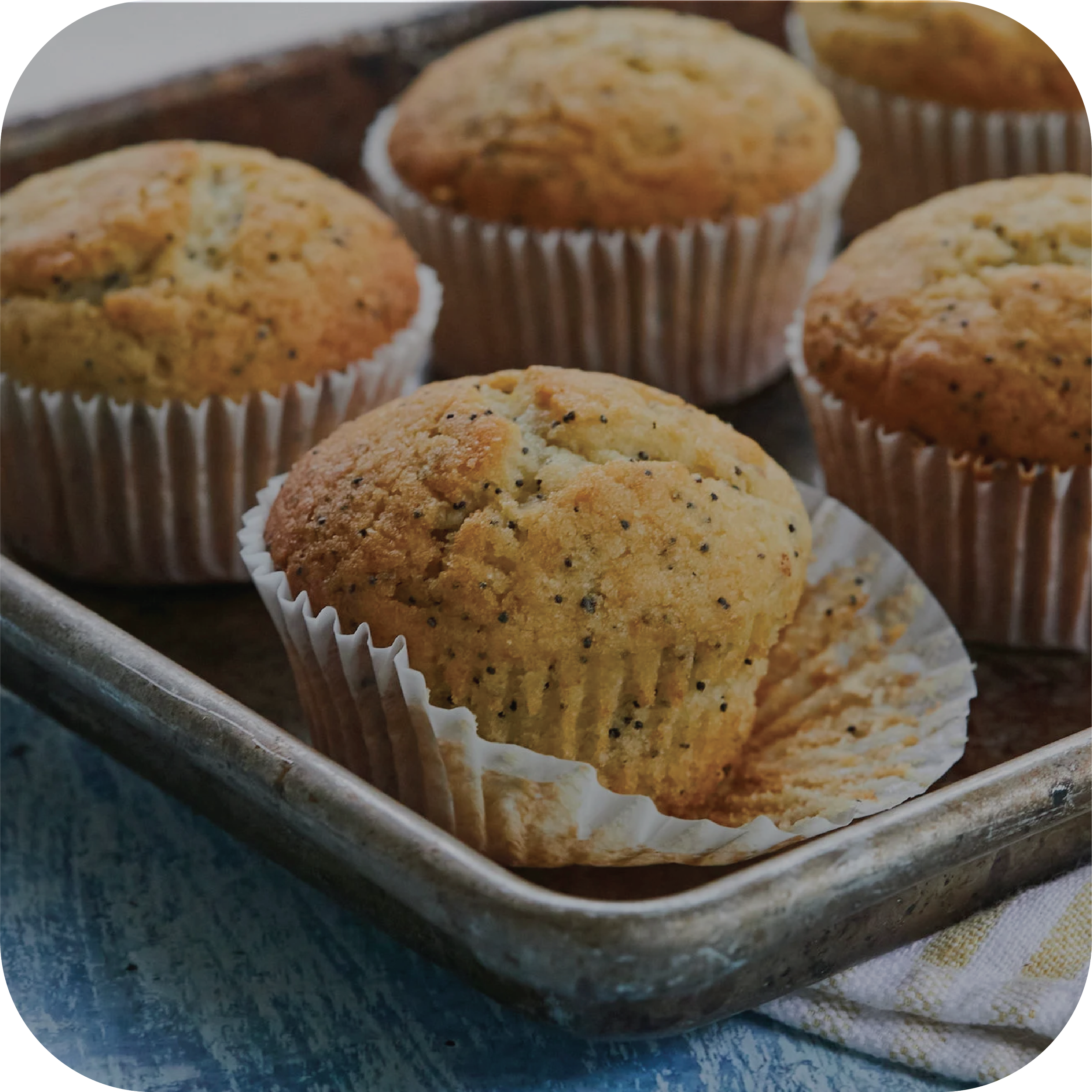 Freshly baked muffins with poppy seeds, sprinkled generously on top, in paper liners on a baking tray.