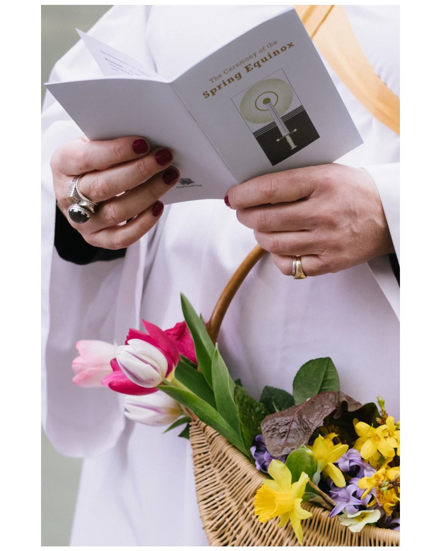 24 druids and 1 king. I may not have the number of dtuids correct but there is one @simonking_v 

Spring Equinox, London, 2026

#london #springequinox