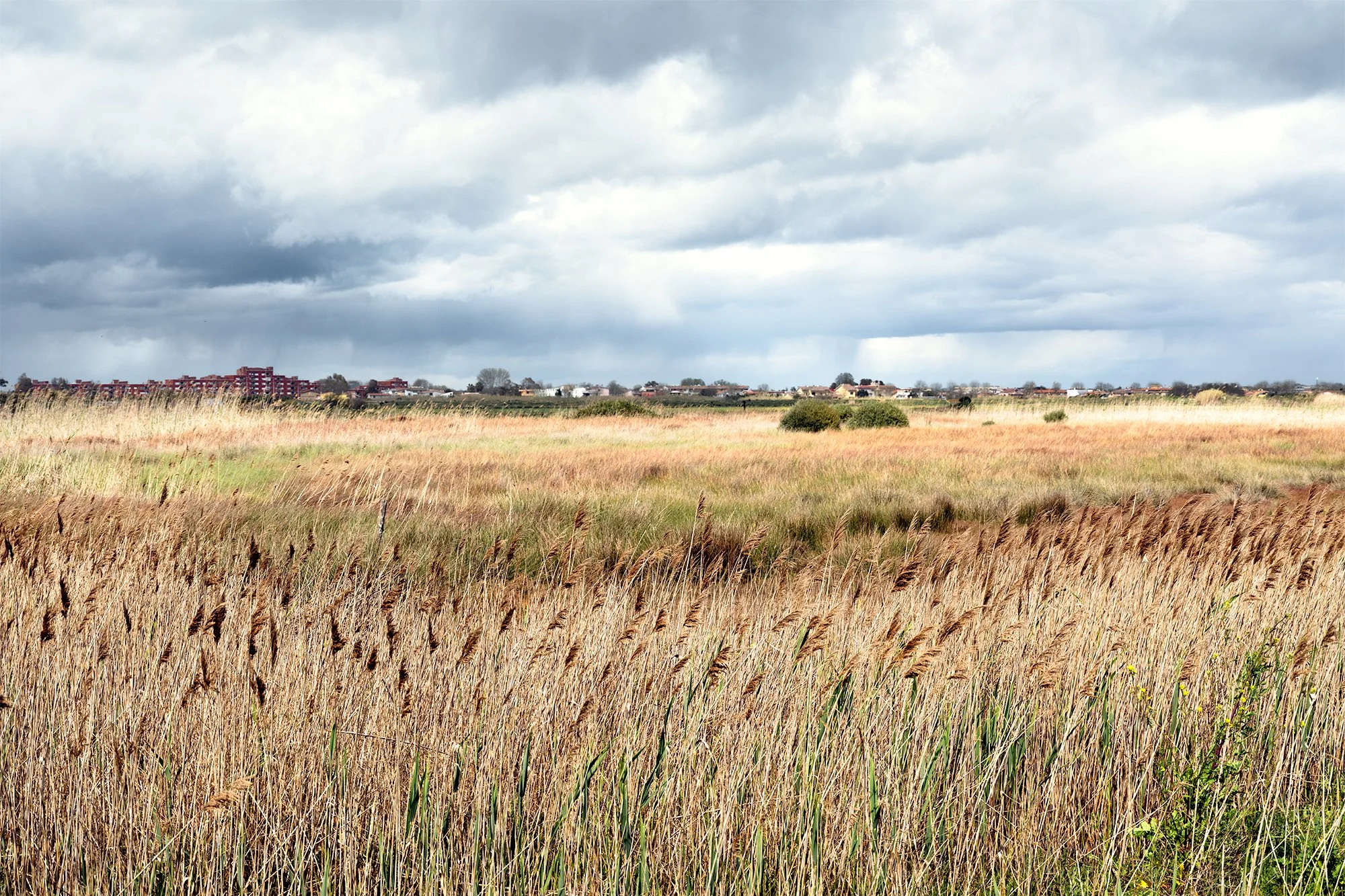 Adjacent countryside area bordering the construction site, 2026