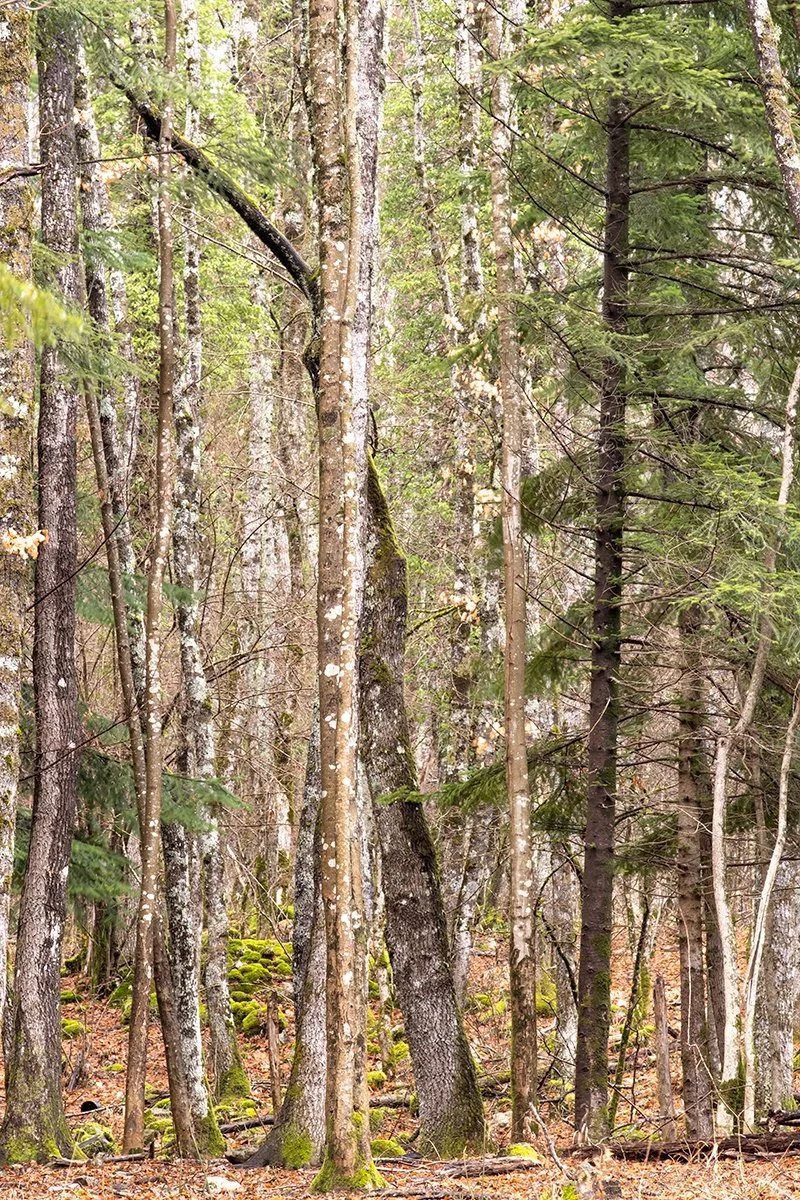 View of the Marsicana State Road, Summer 2024