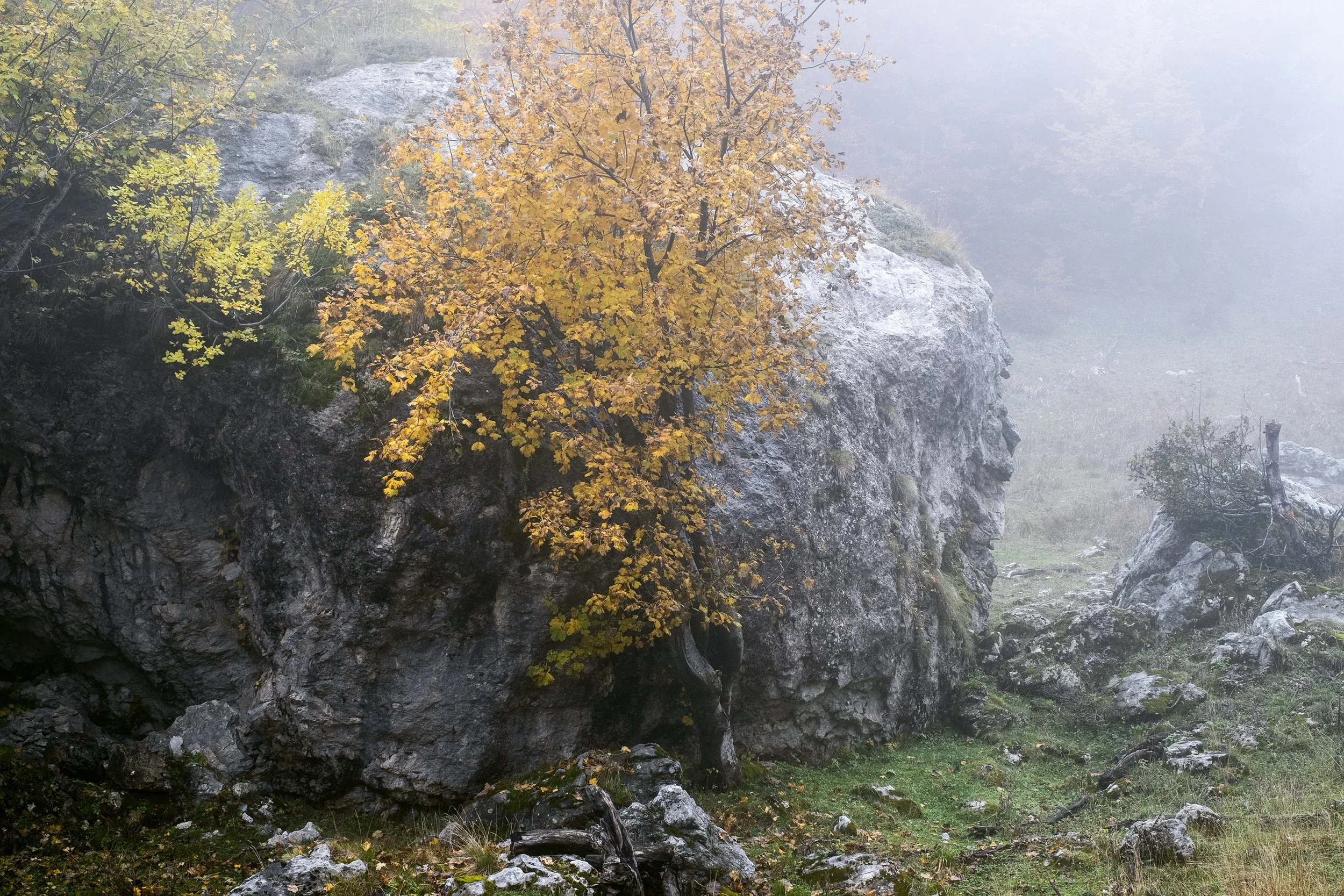 Val di Rose, autumn 2025