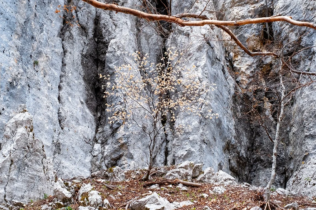 New forms of life in the national park, Autumn 2023