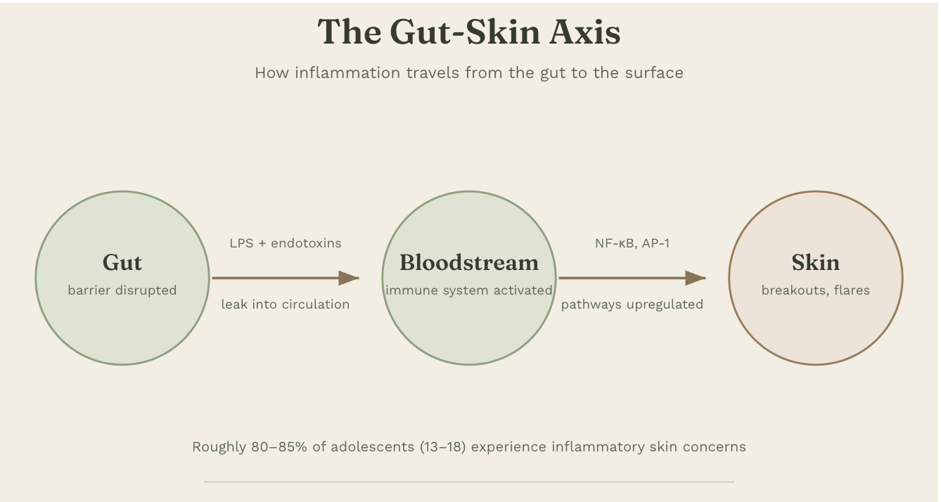 The Gut Connection: How One Client's Skin, Energy, and Cravings Turned Around at Once