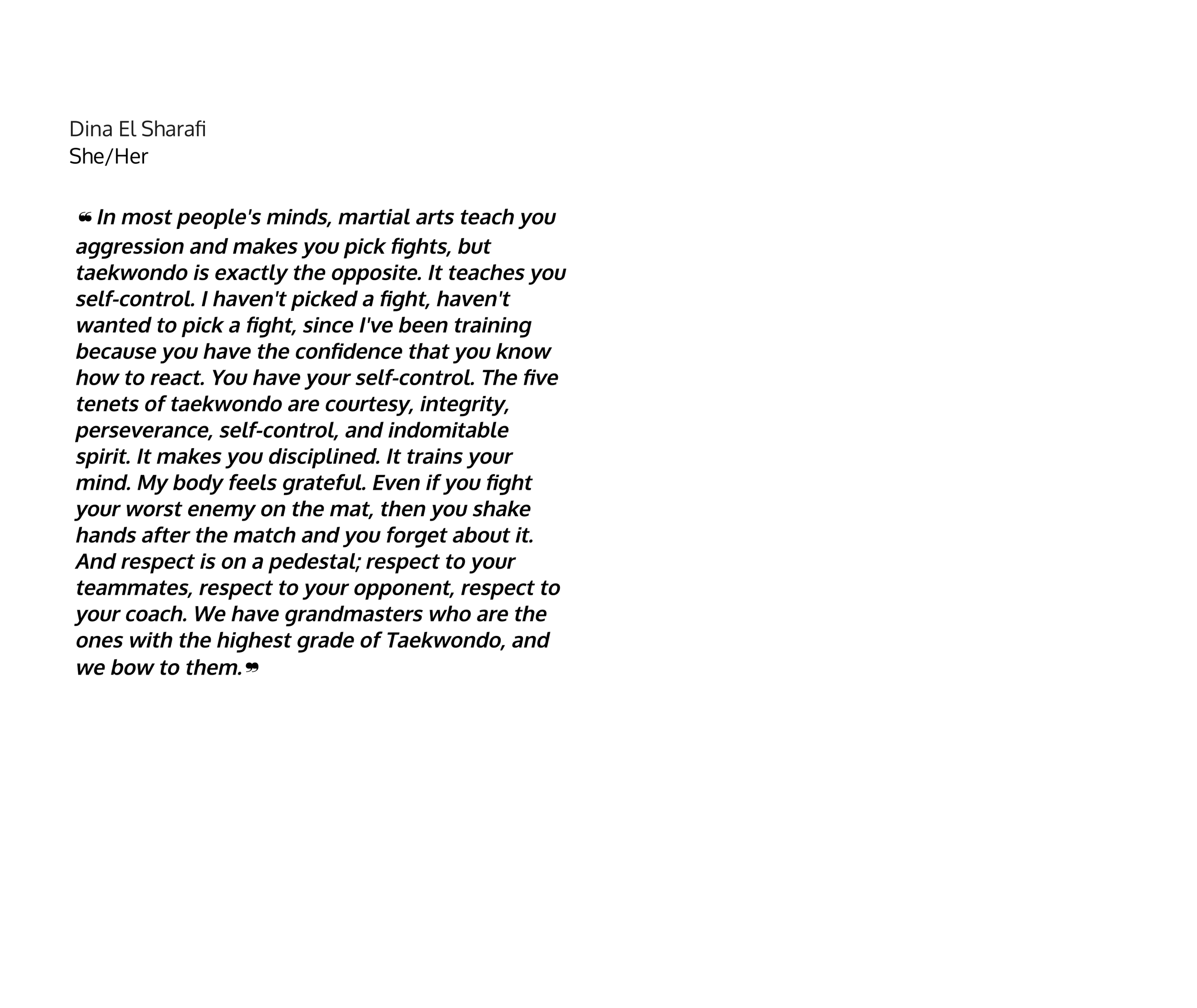 Beyond The Sport - DINA TRANSCRIBE.png