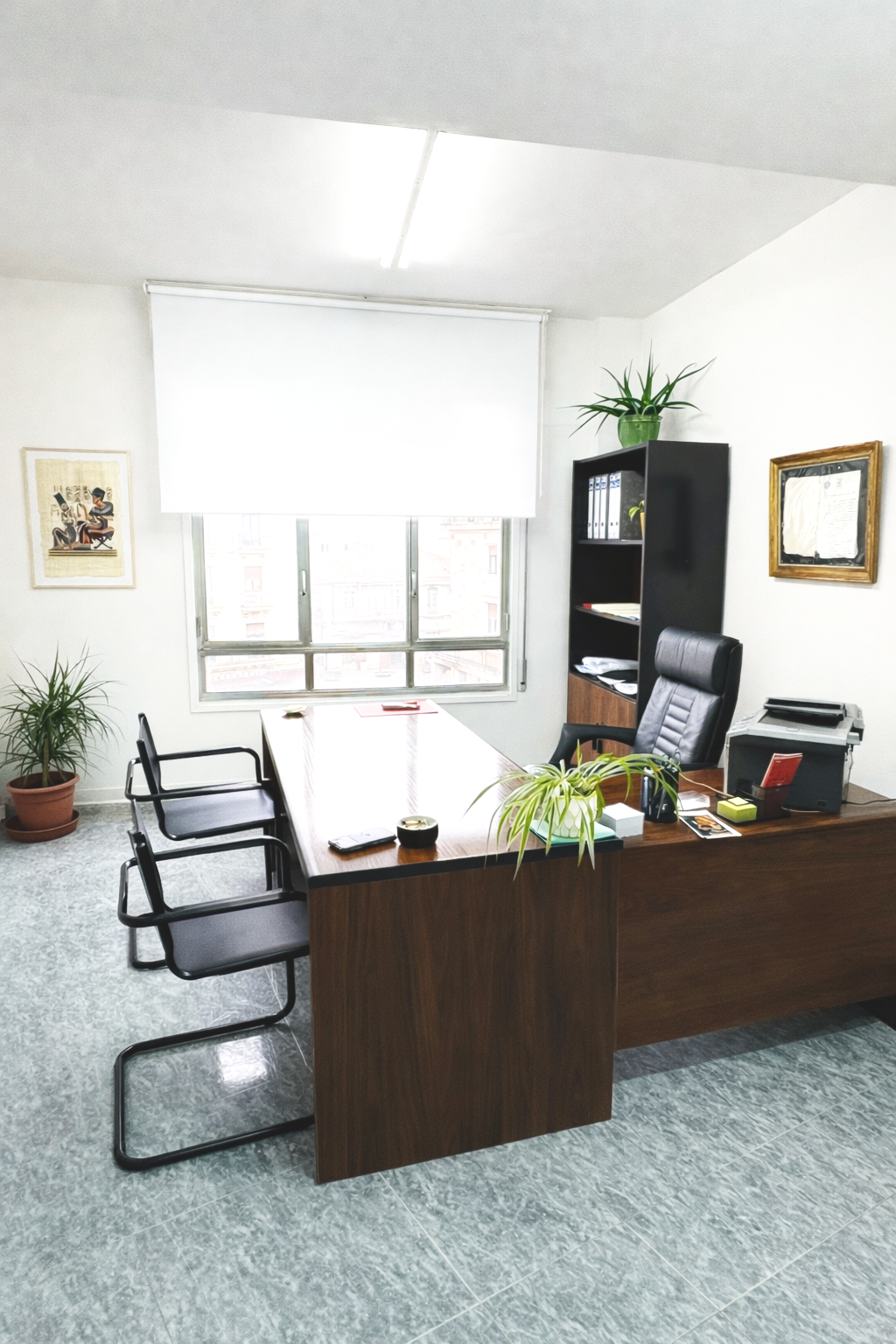 Despacho con escritorio de madera, silla ejecutiva, estantería, plantas decorativas, cuadro en la pared, ventanas con persiana