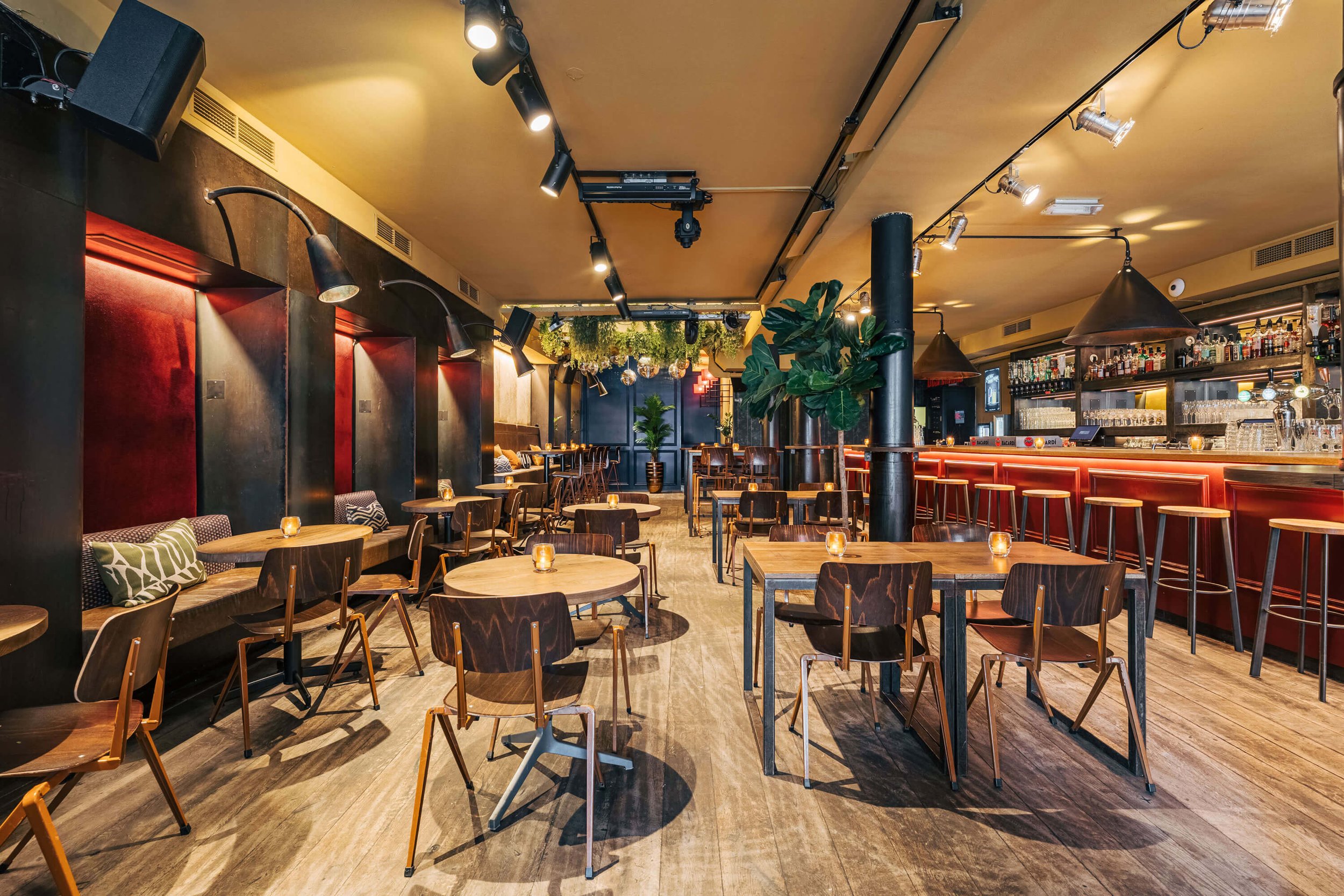 Interieur van een moderne bar met houten tafels en stoelen, verlichte bar met krukken, sfeerverlichting, en planten aan het plafond.