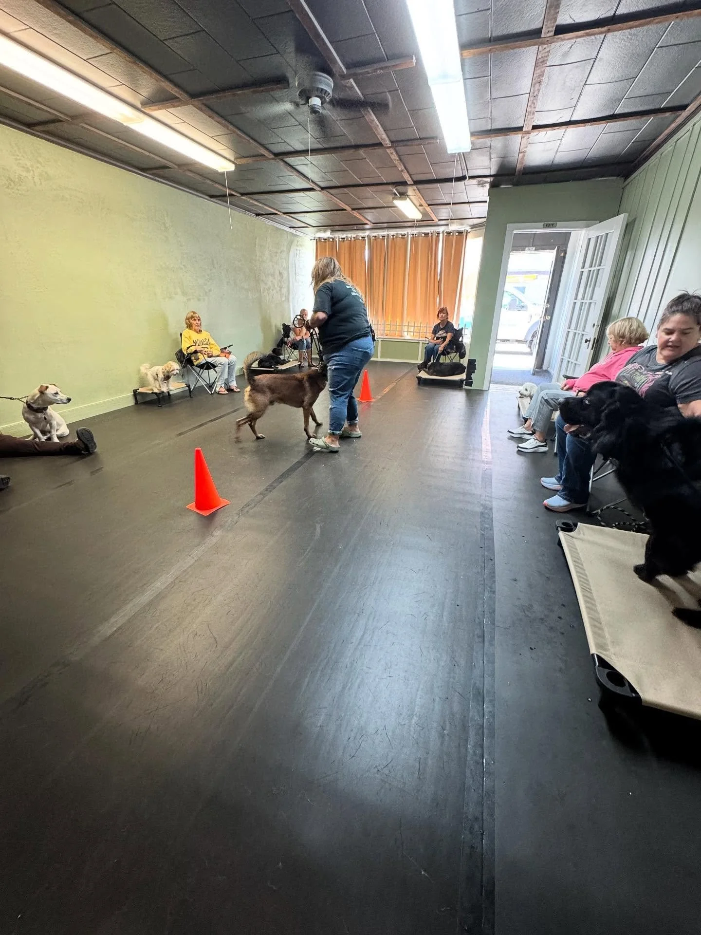 Day Train Group Class