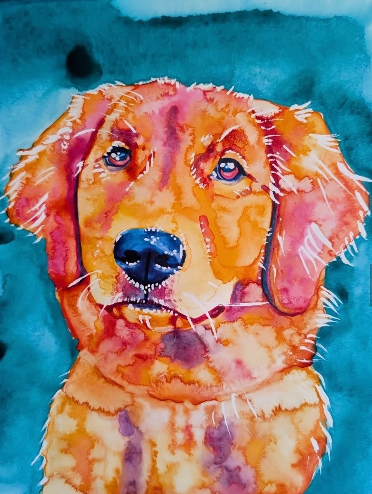 We are SO excited to finally share these beautiful paintings done by local Albany artist Robin Greywing &mdash; she absolutely captured our babies perfectly 💙

Even more exciting&hellip; she&rsquo;ll soon have artwork available for sale right here i