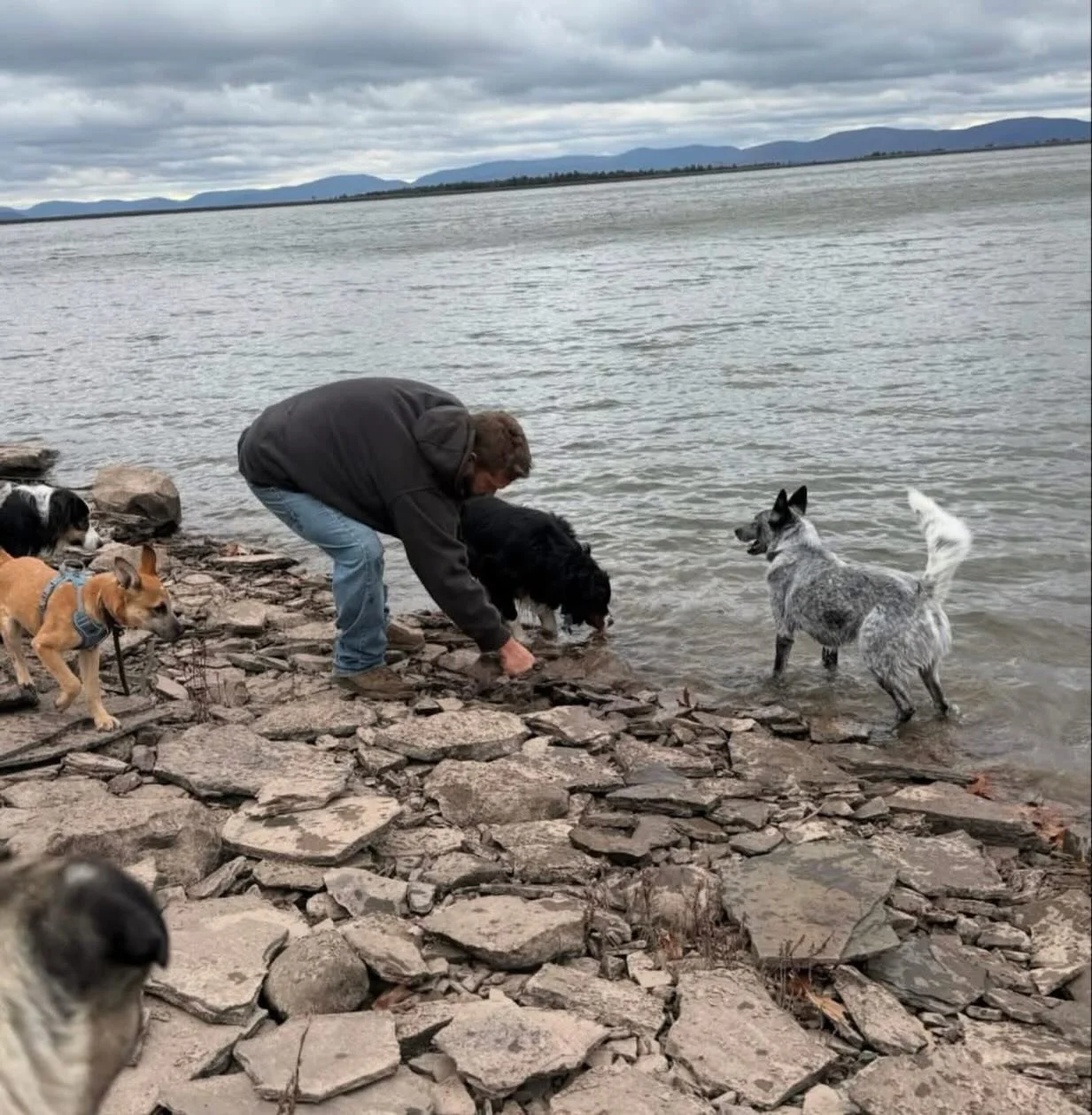 Father&rsquo;s Day BBQ/Pack Walk
Coxsackie Riverside Park
6:15&ndash;7:15pm 
$25 per dog/handler
Additional handler: $5
We&rsquo;ll walk around the park with obedience stops along the way and end with grilled hot dogs, chips, and soda.