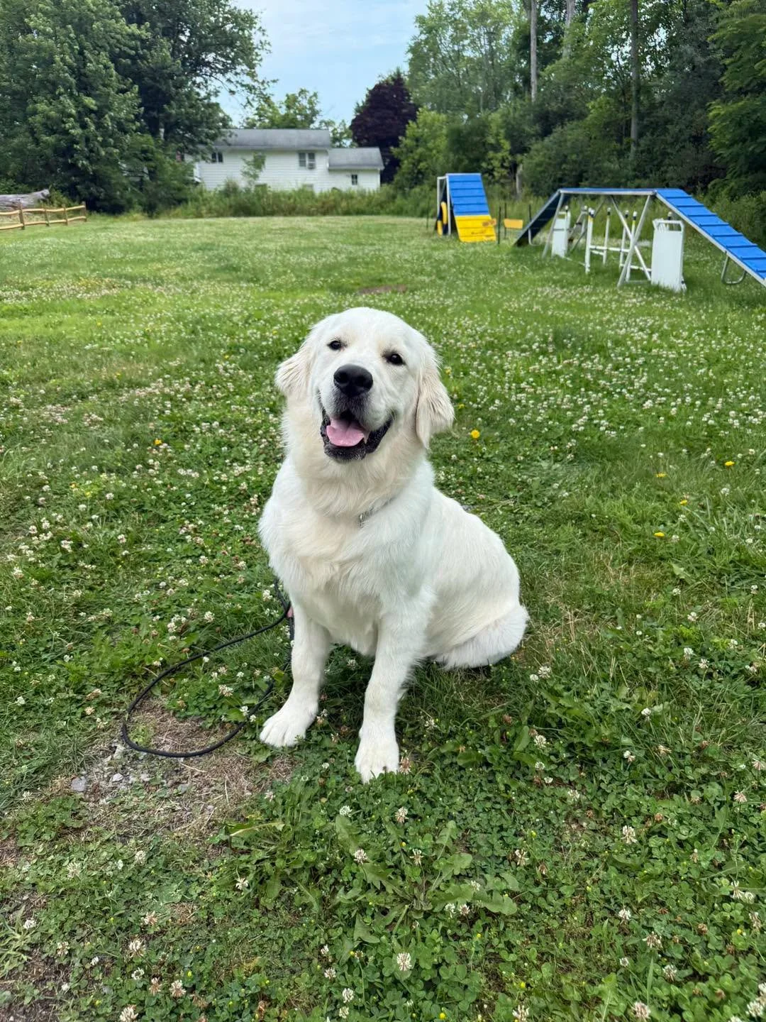 grooming13.jpg