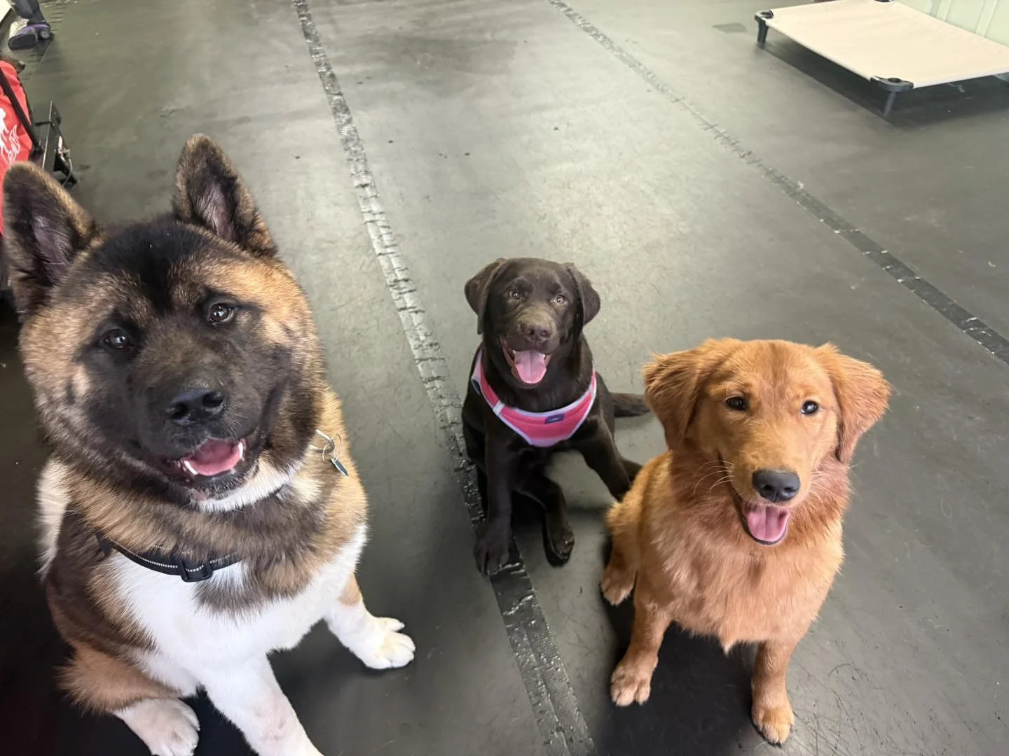 616836483_876051648723189_8238555813587919646_n (1).jpg