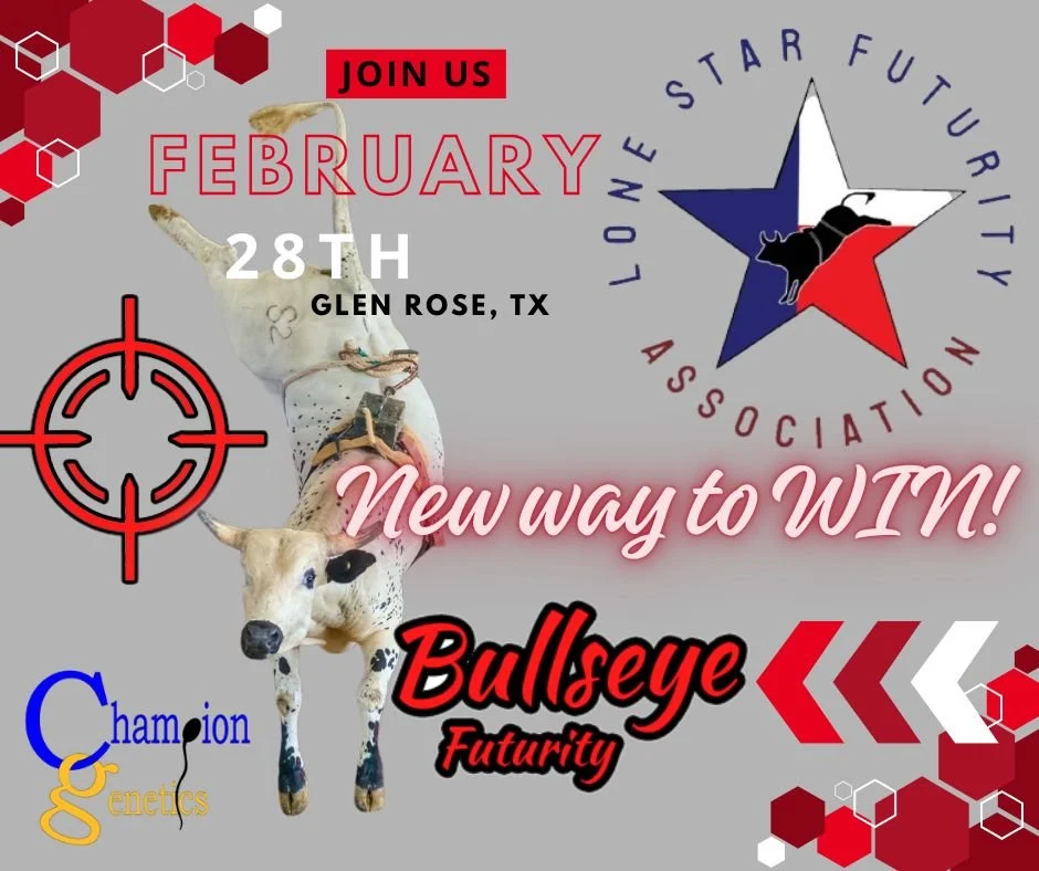 Lone Star Futurity Association