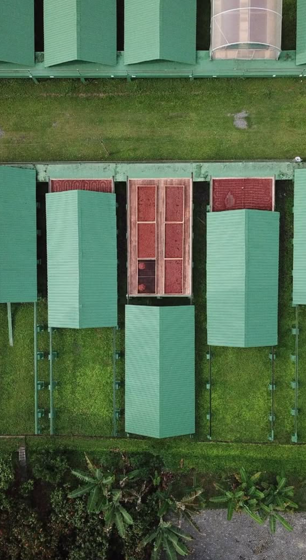 Imagem aérea da colheita