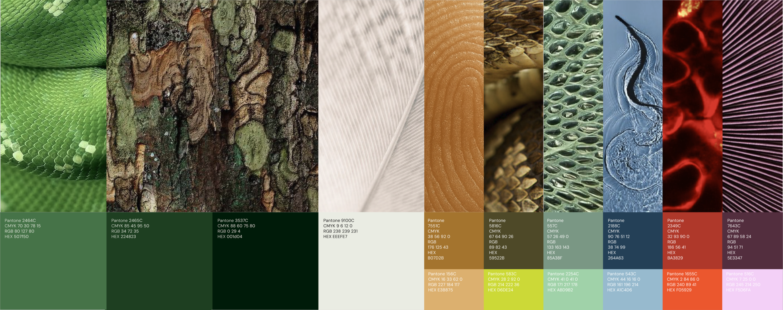 Curves and textures from various natural and synthetic surfaces, including green scales, tree bark, fabric fibres, wood, fish scales, water surfaces, cellular patterns, and a range of colours with colour code information