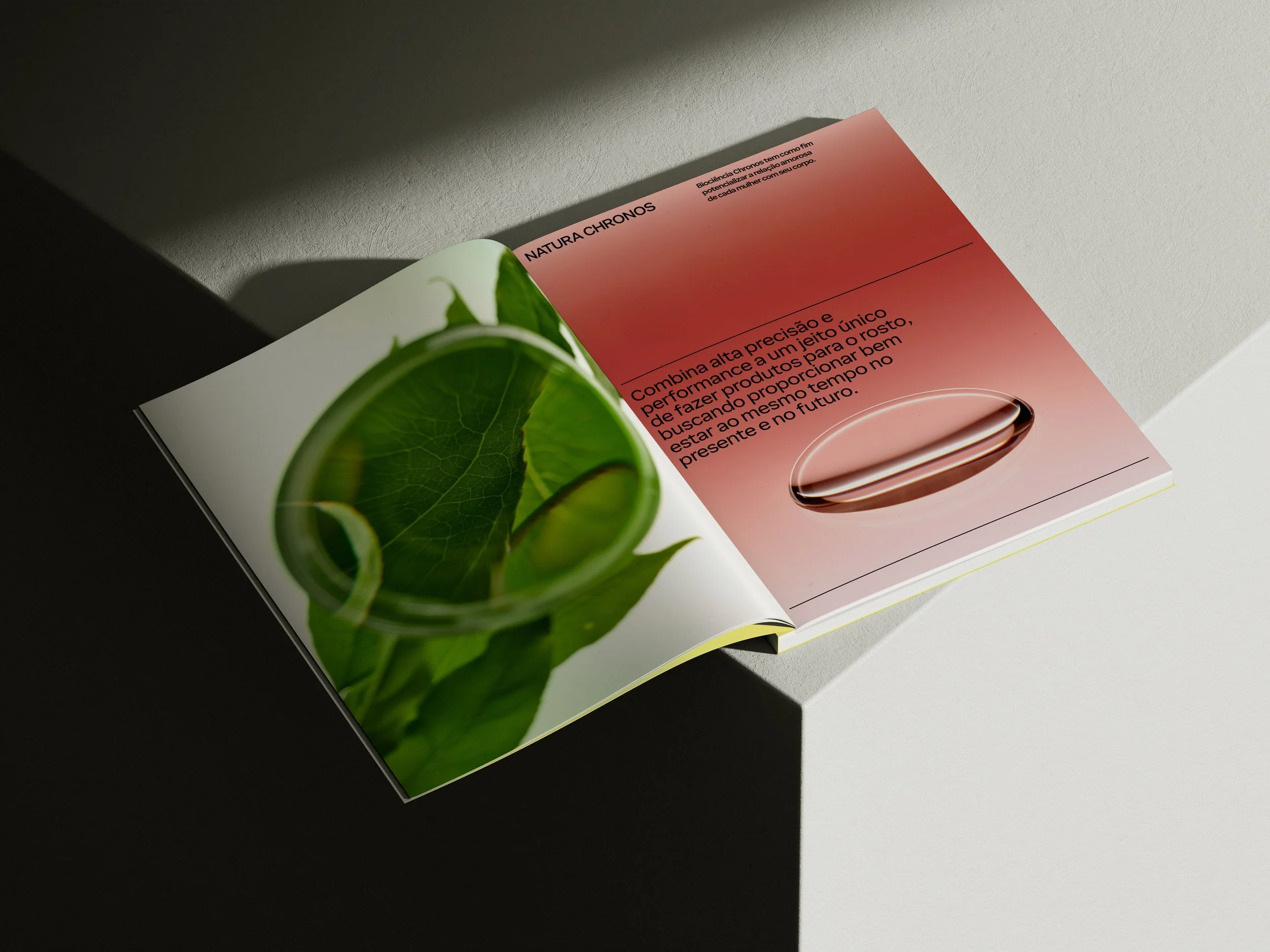 Folha de papel com texto e uma planta verde ao lado, sobre uma mesa branca.