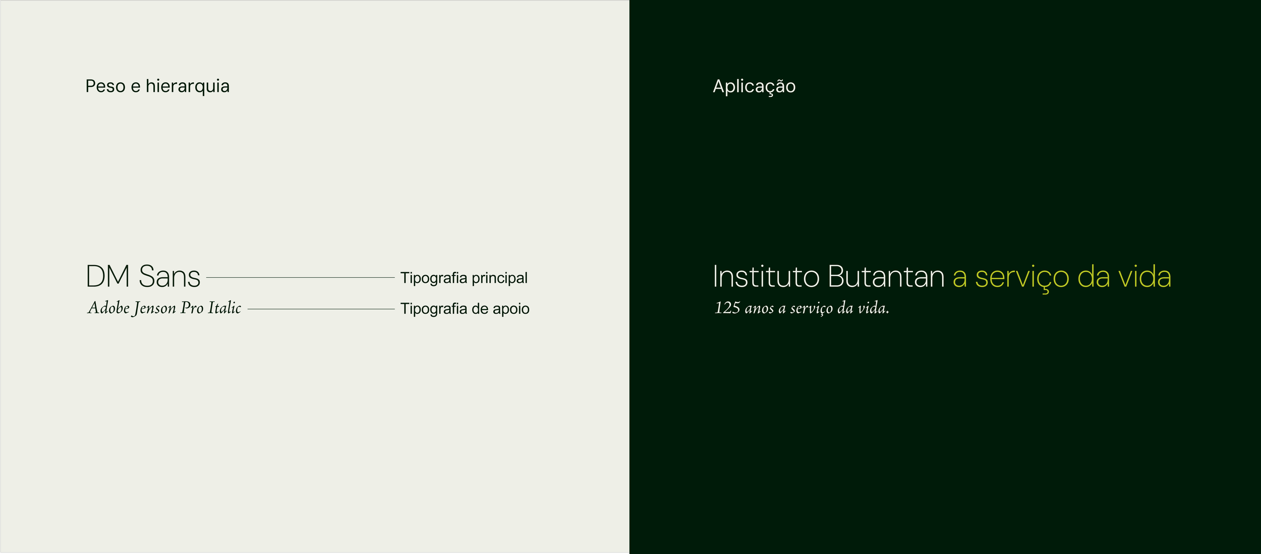 Graphic design divided into two parts: the left side has a light background with details on typography; the right side has a dark green background with information about the Butantan Institute and its history.