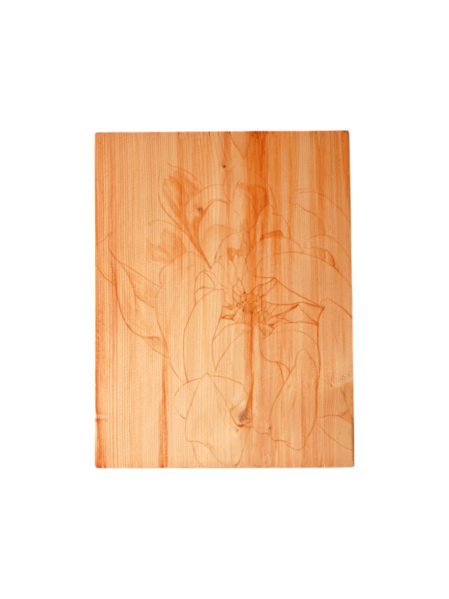 Spring Soil -Photoroom.jpg