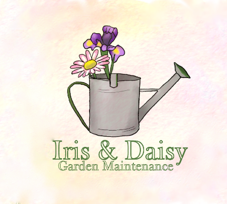 Iris and Daisy Garden Maintenance