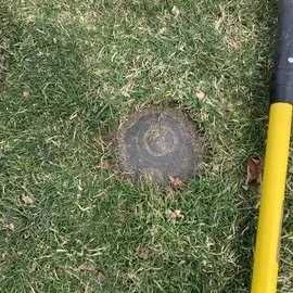 A tree stump on grass with a yellow and black pole nearby.