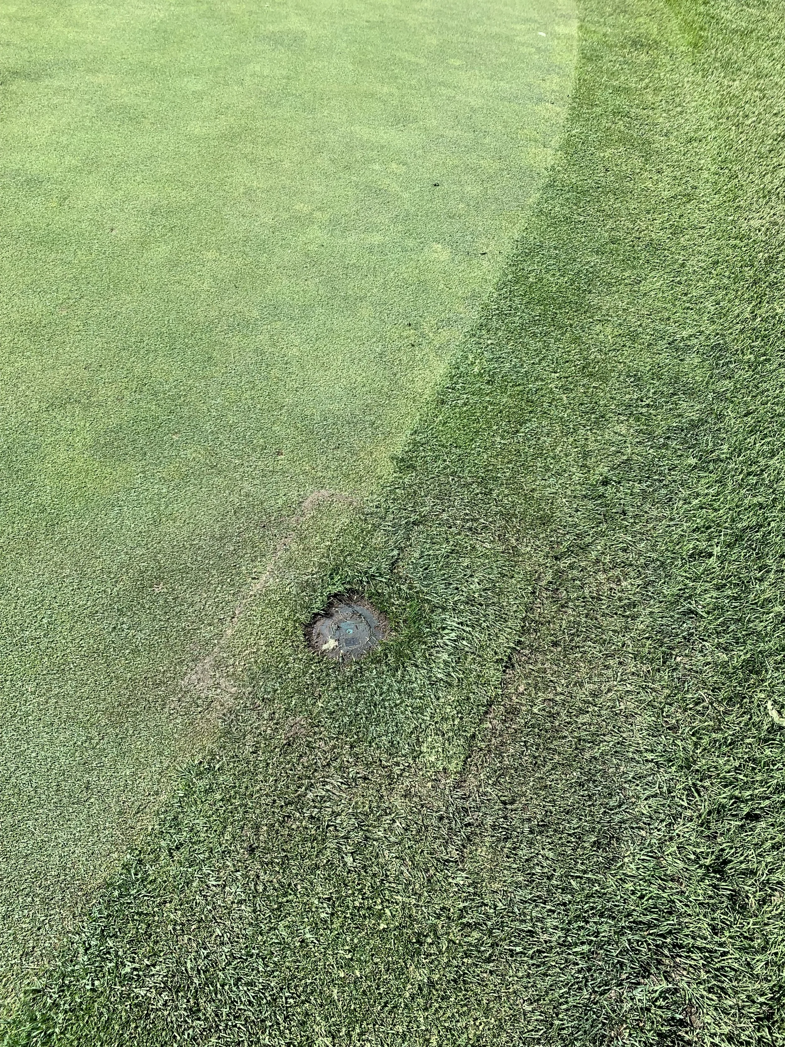 Sprinkler head that is levelled next to golf course green and intermediate.