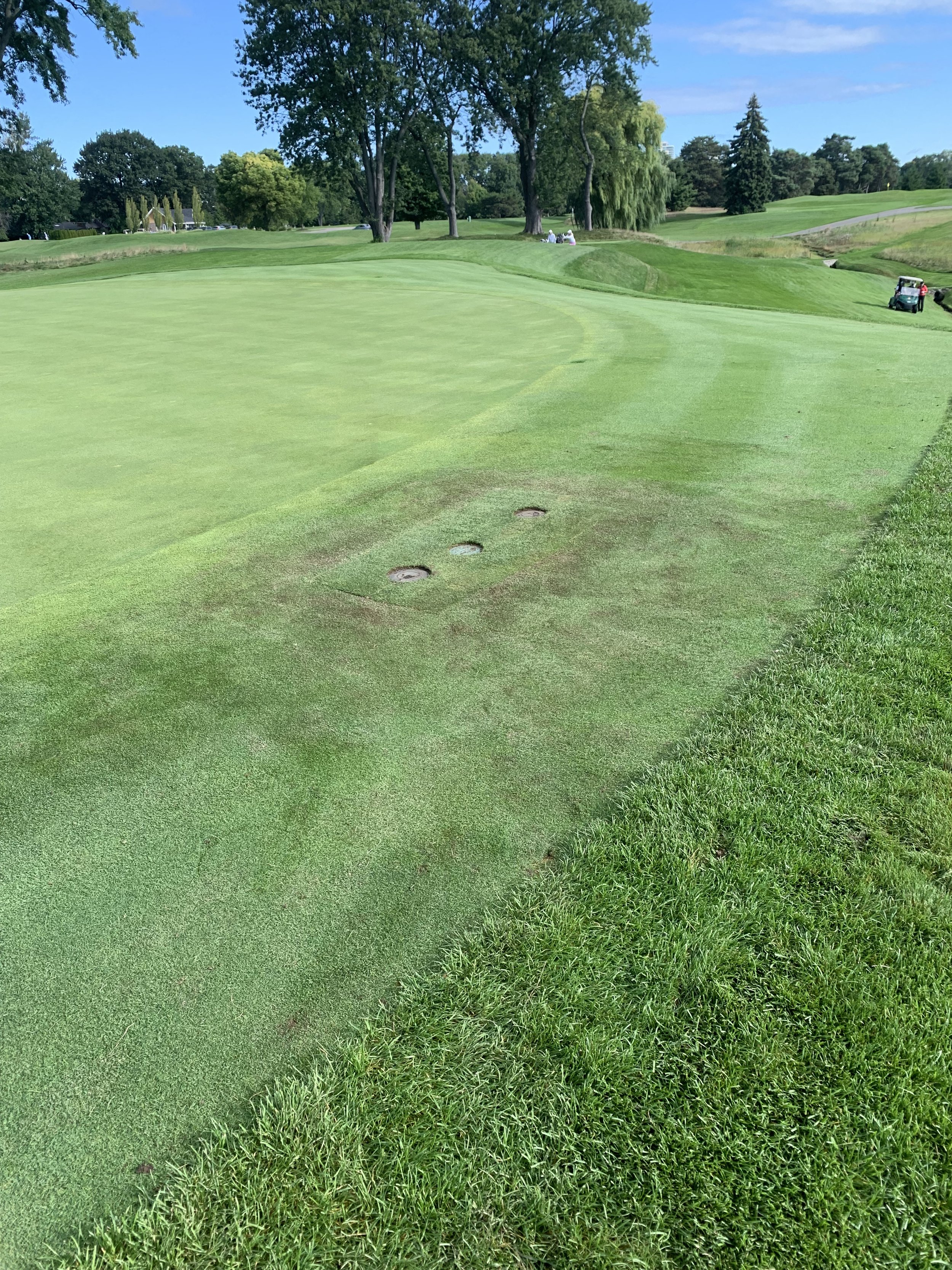 A golf course with a putting green, a fringe area, a golf cart in the background, and trees under a clear blue sky.