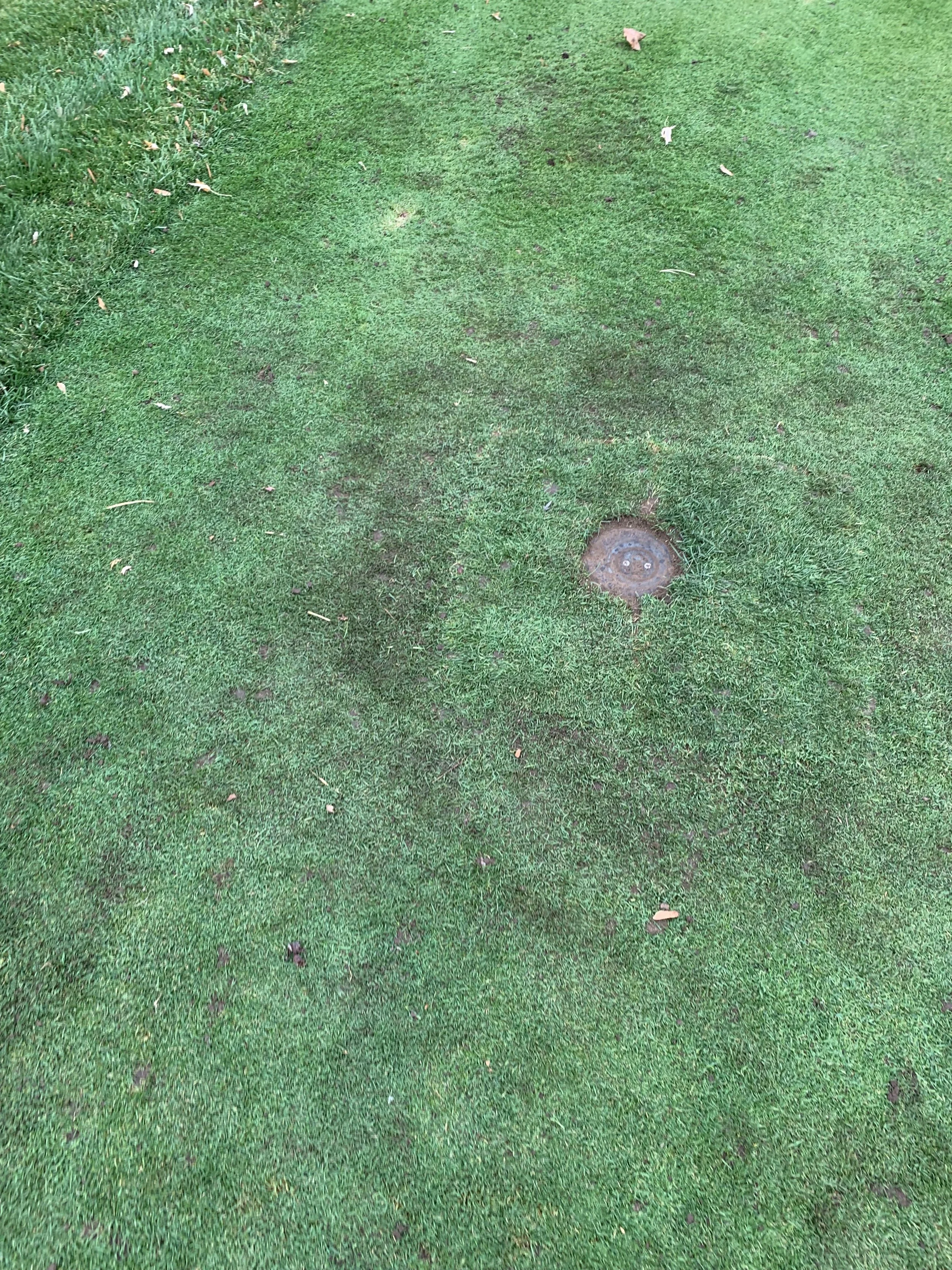 Close-up of a golf course putting green with a hole marked by a metal cup and surrounding lush grass.
