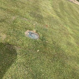 Close-up of a manhole cover on a grassy lawn.