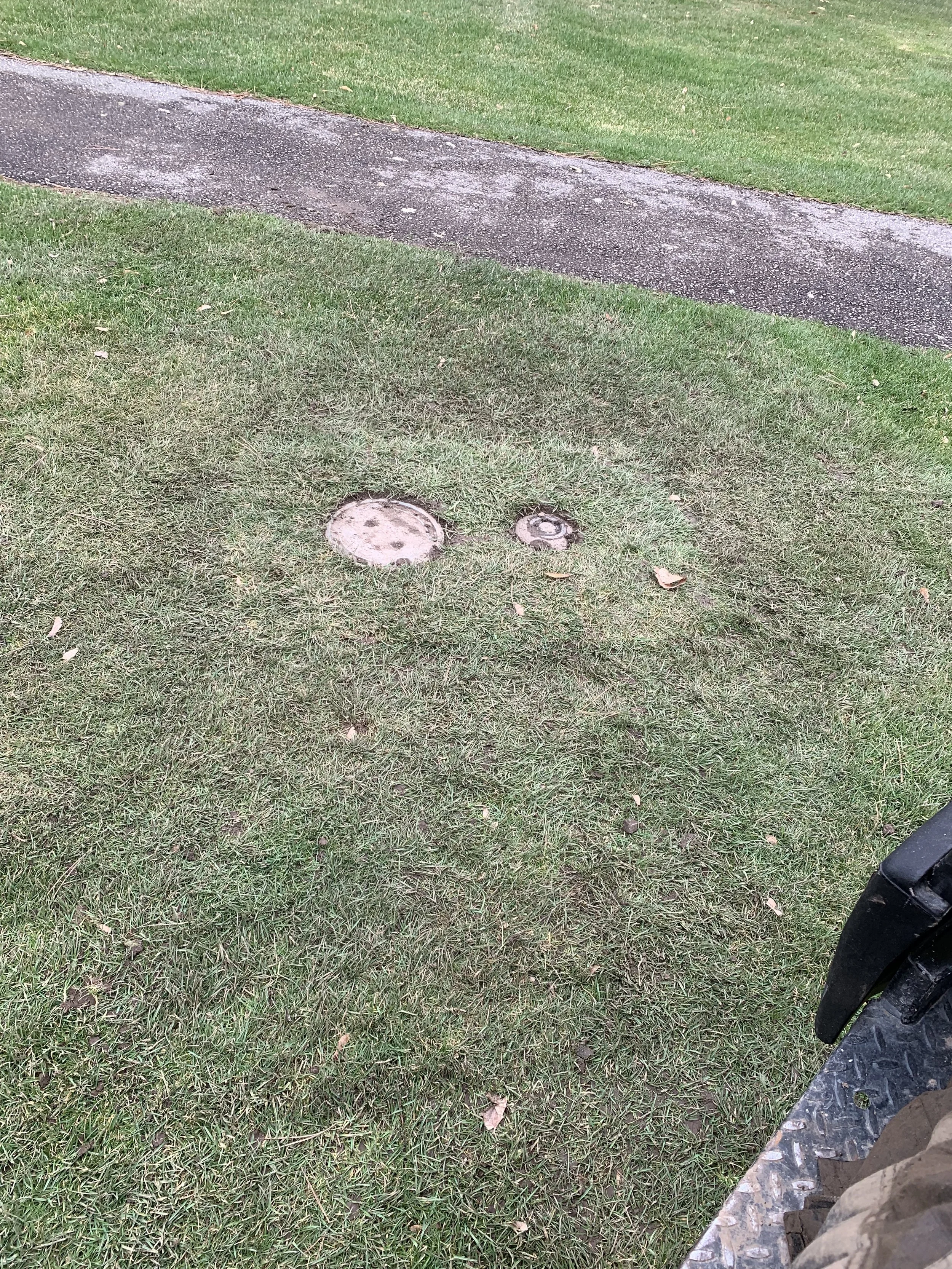 Grass with two round metal covers and a patch of dirt, beside a sidewalk, with a part of a vehicle visible in the lower right corner. valve box and rainbird irrigation head raised