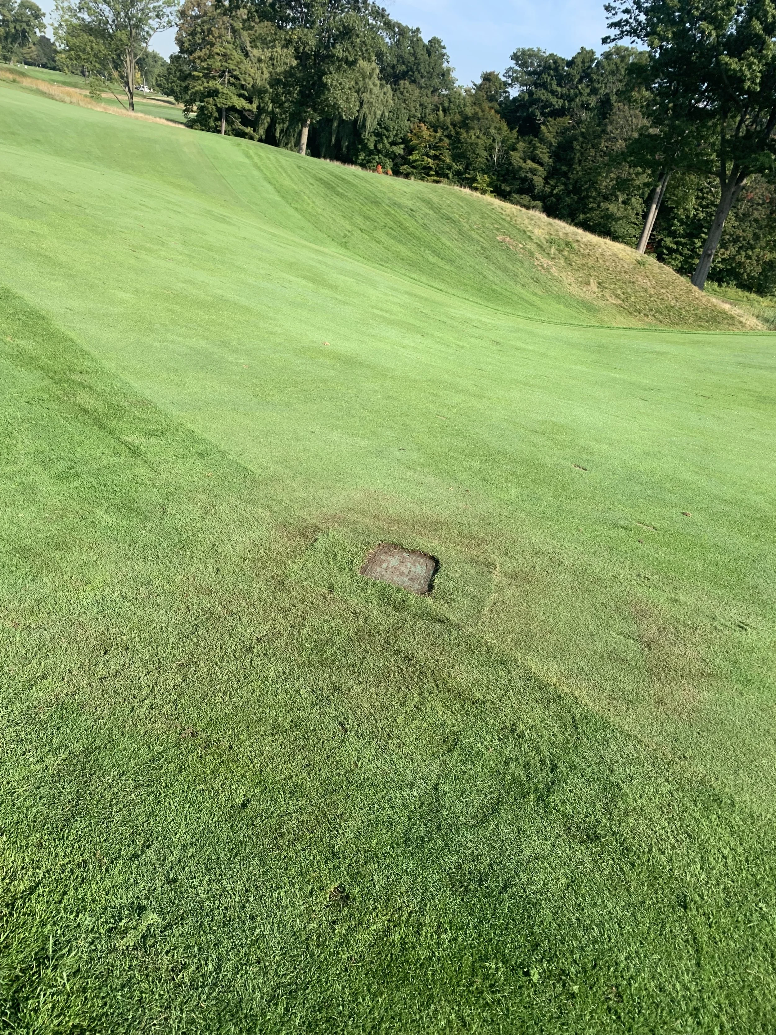 A golf course fairway with a repaired hole cup in the foreground, green grass, trees in the background, under a clear blue sky.