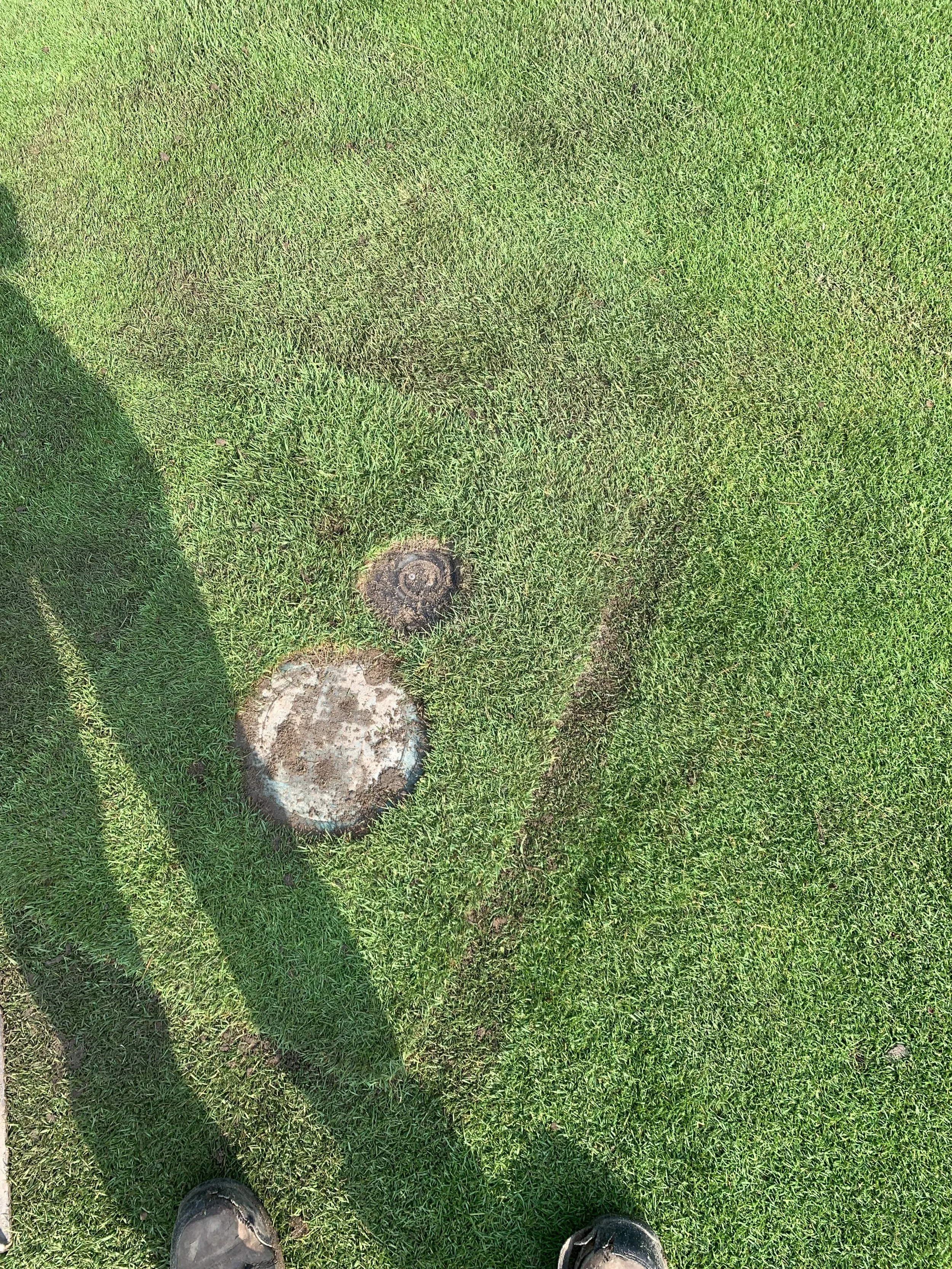 View from above of green grassy lawn with two circular patches, one smaller and darker, the other larger and weathered, and shadows of two people and a tree.