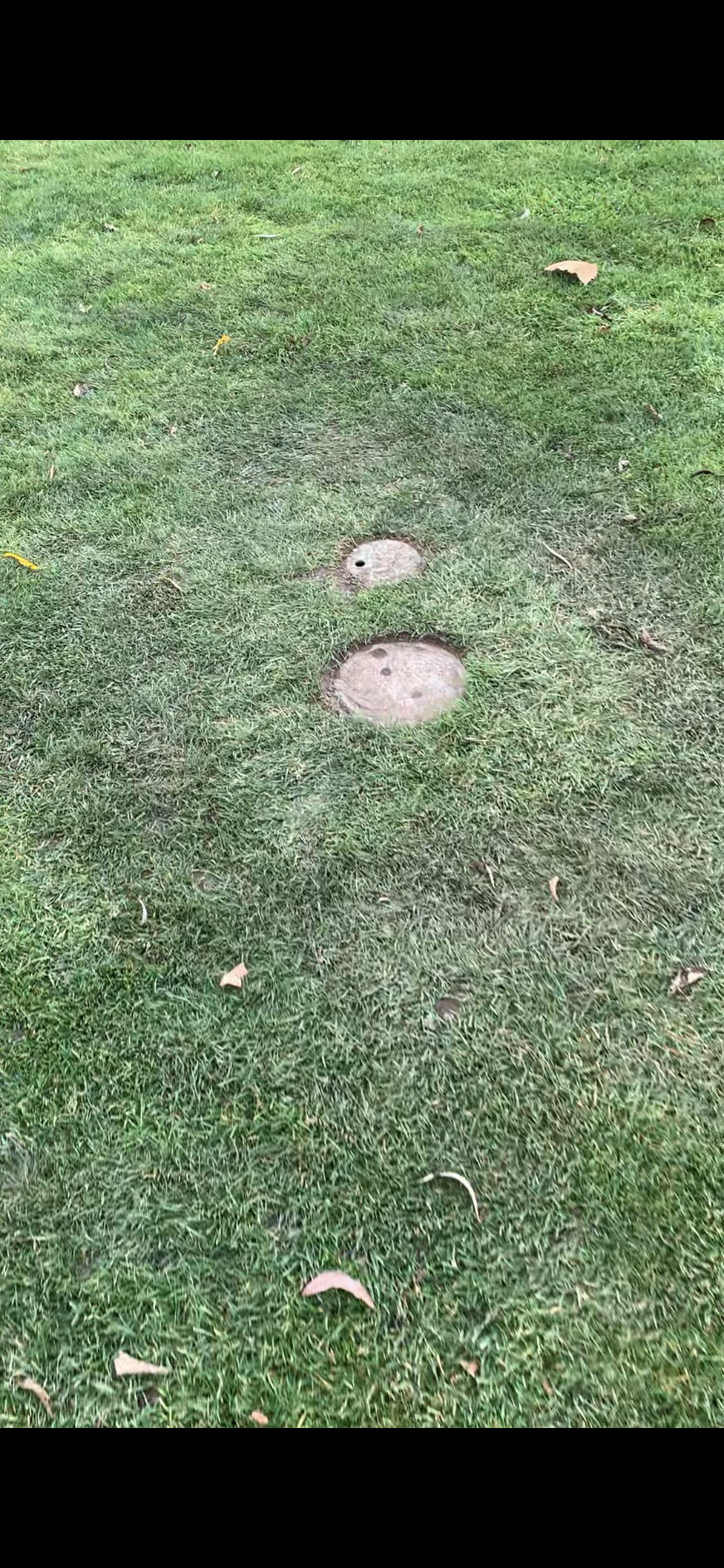 Two circular metal covers on green grass in a park or outdoor area.