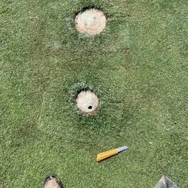 Miniature golf scene with a hole, a golf ball, and a tee on grass.