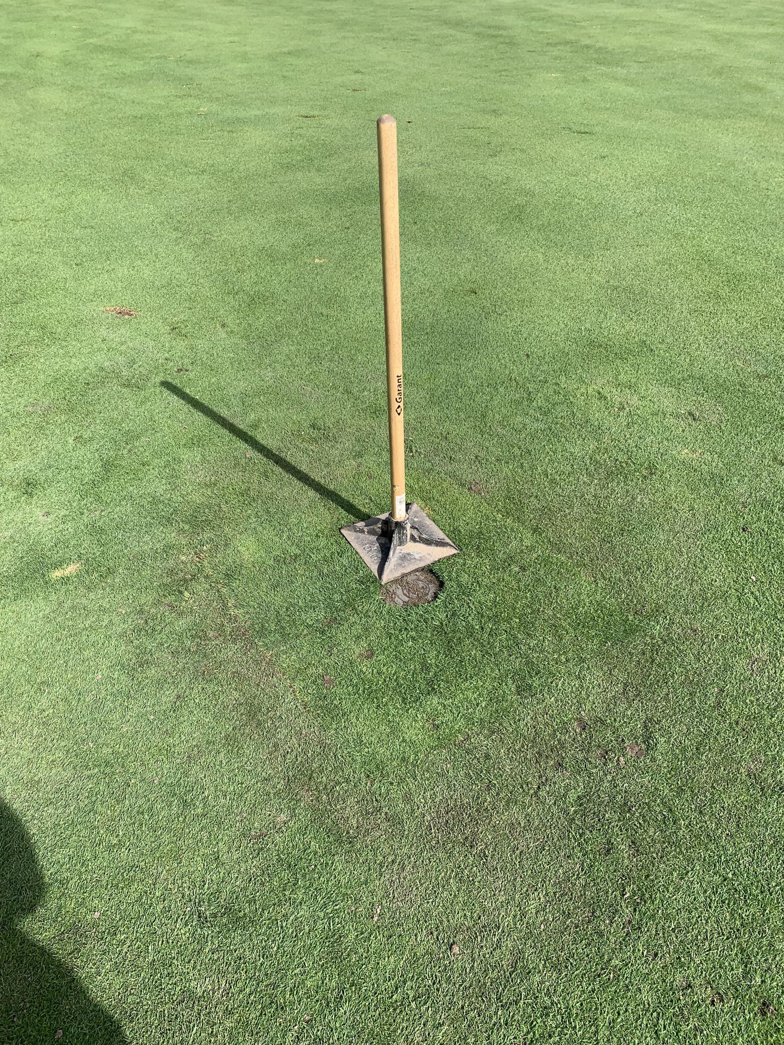 Close-up of a golf green with a golf hole and a flagstick in the hole.