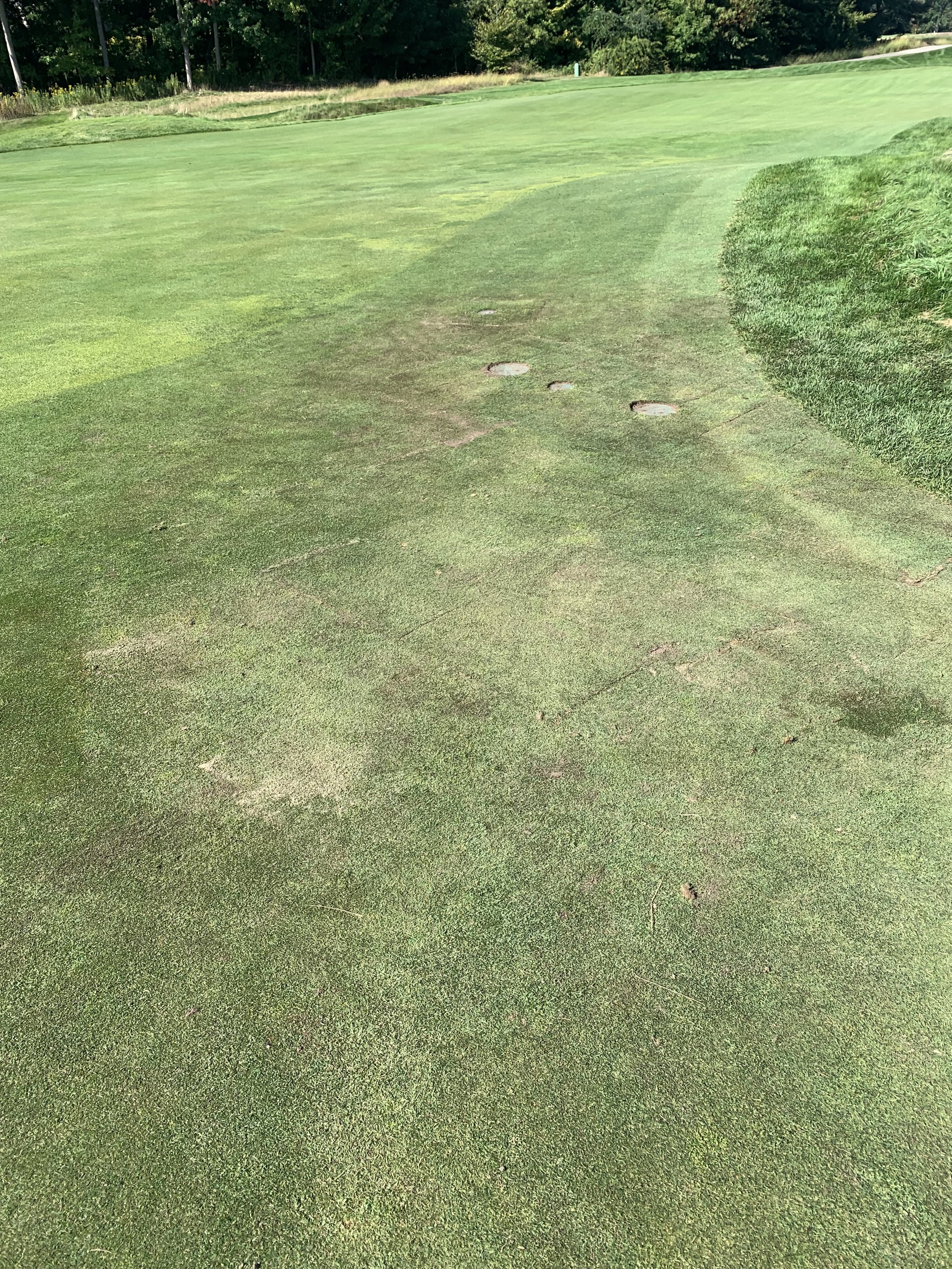 Close-up view of a golf course putting green with three exposed sprinkler heads and a surrounding grass area.