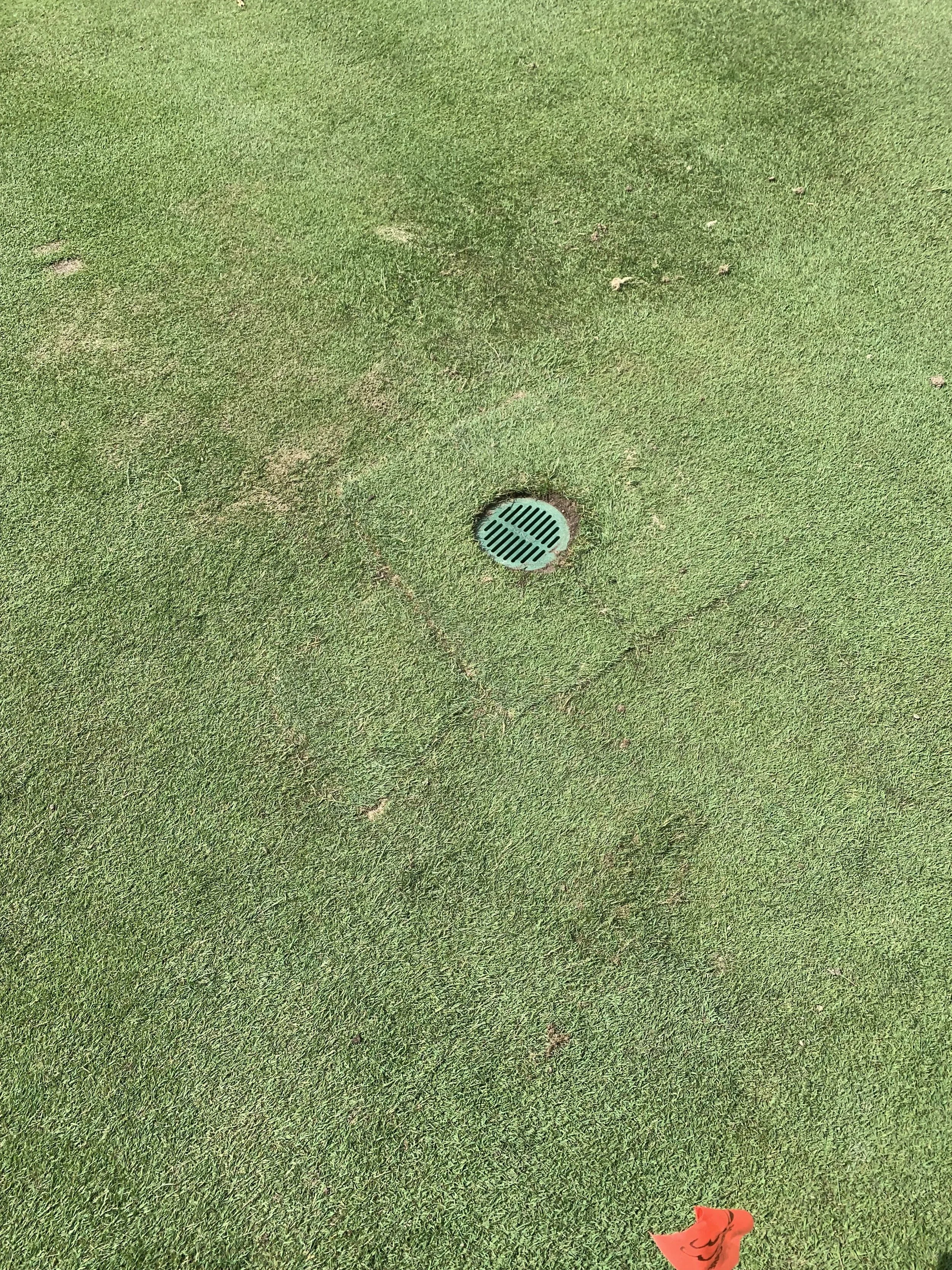 Close-up of a well-maintained green golf course with a round drainage grate in the center and a small red object near the bottom right corner.