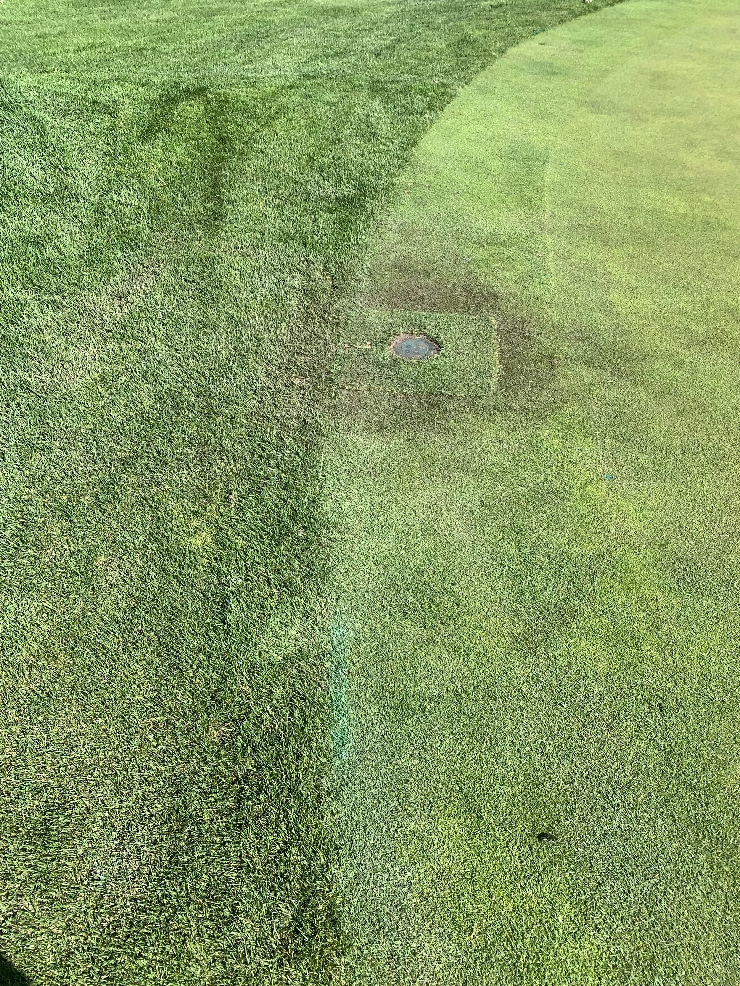 Close-up of a well-maintained golf course with a hole and flag in the center, featuring green grass and neatly trimmed fairway.