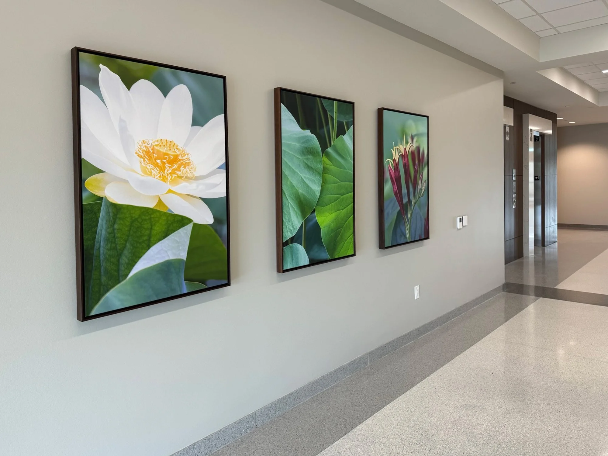 Houston Methodist Scurlock Tower- Houston, Tx