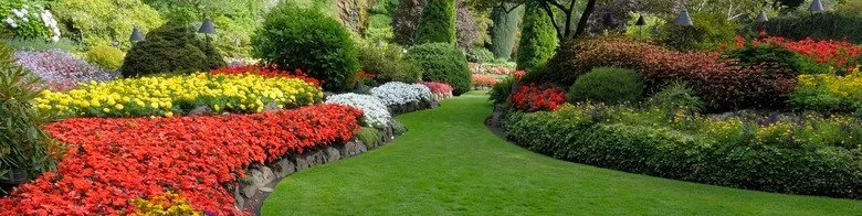 Curved garden pathway with manicured green lawn, colorful flower beds, trimmed shrubs, and softscape plantings in a professionally maintained landscape design
