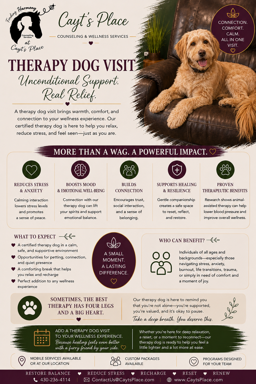 A promotional flyer for Cayt's Place, a counseling and wellness service featuring a therapy dog visit. The flyer highlights the benefits of therapy dog visits for stress relief, mood boosting, connection building, healing, and therapeutic benefits. It shows a golden doodle lying on a leather couch next to a plant, with text describing the services and contact information.