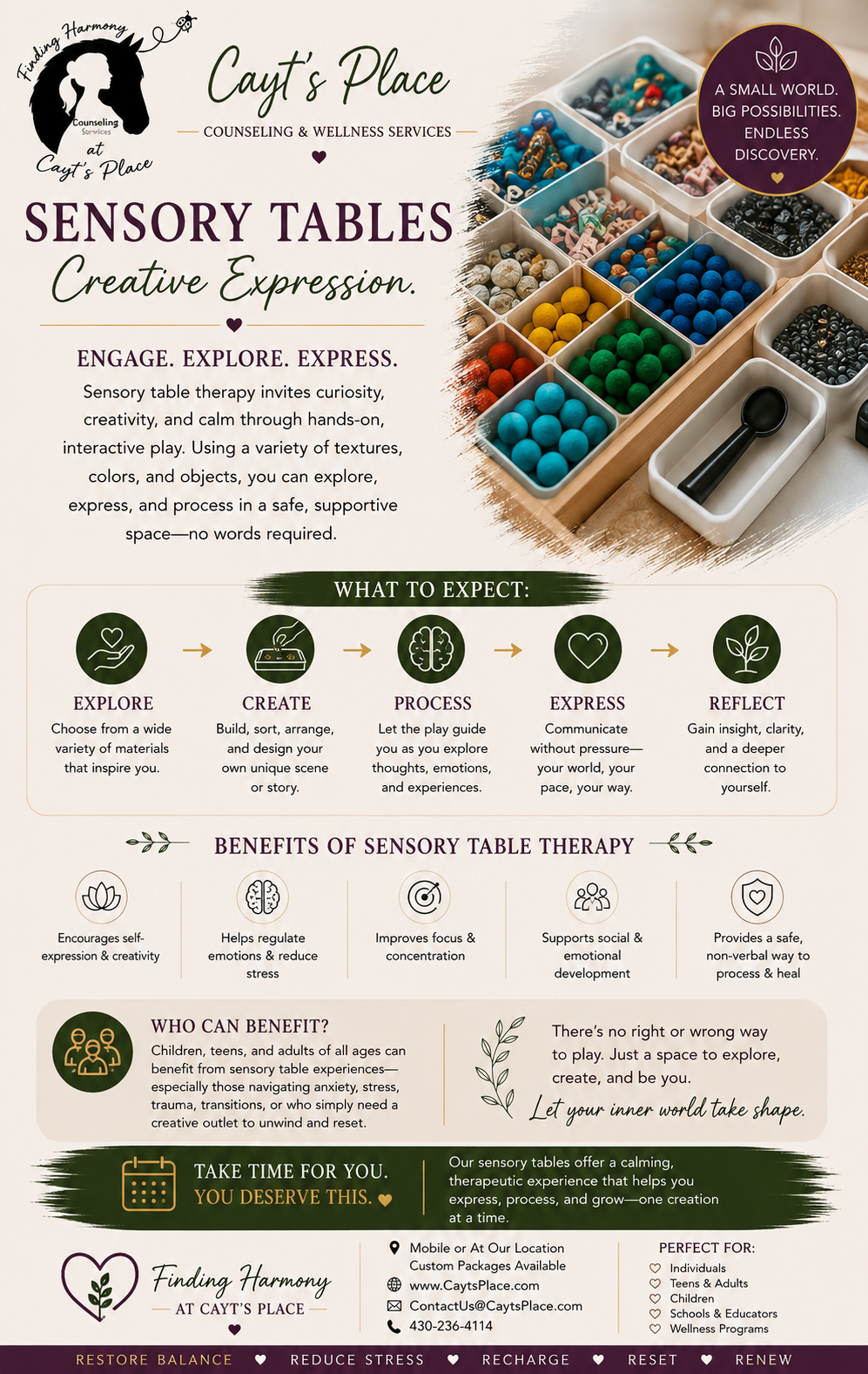 Poster advertising Cayt's Place sensory tables therapy, featuring a grid of colored sensory objects and an explanation of the therapy process, benefits, and how to participate.