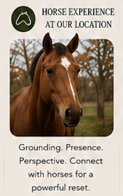 A promotional sign featuring a horse's head with trees in the background, advertising horse experience sessions.