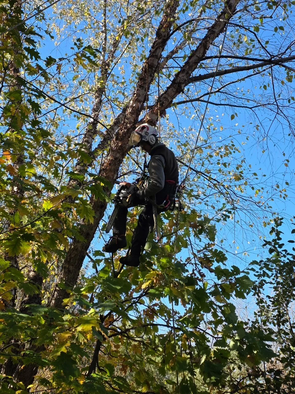 5482403834322069370 (1).JPG