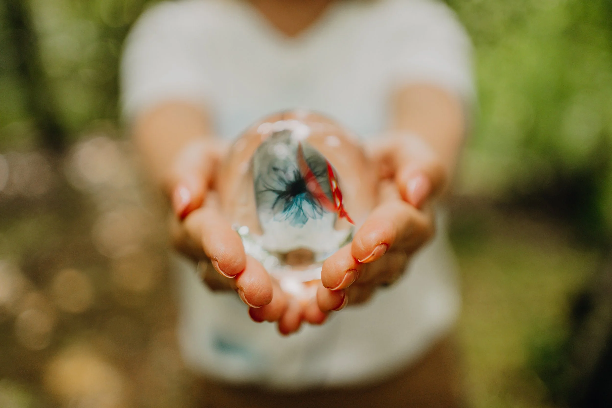 Person holding a clear glass sphere reflecting a tree and red leaves, with a blurred green background.