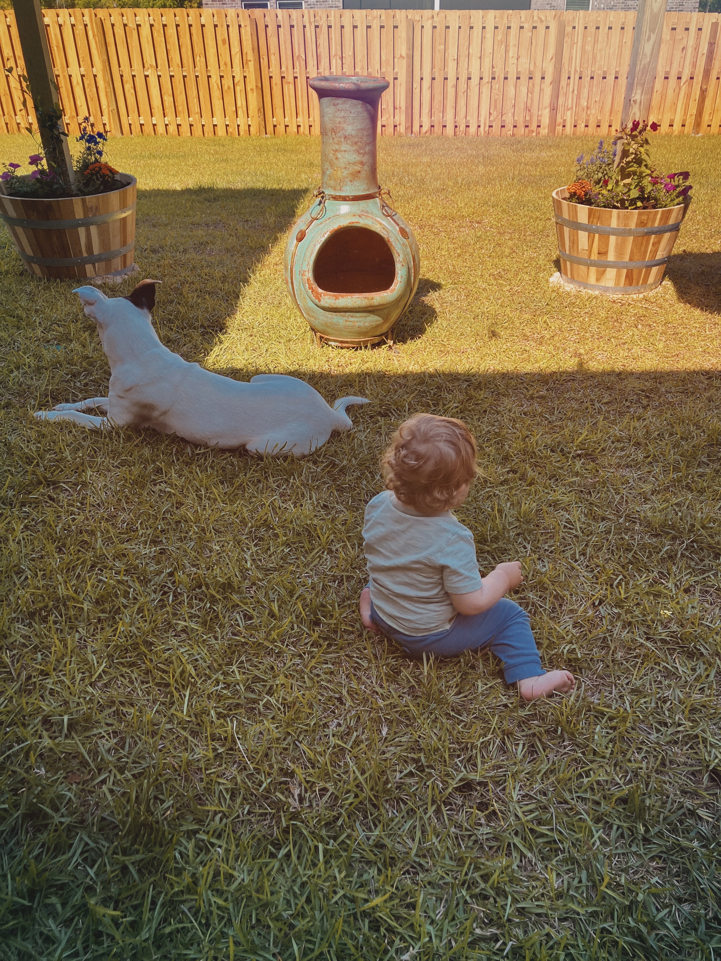 April Nostalgia: A Photo Journal