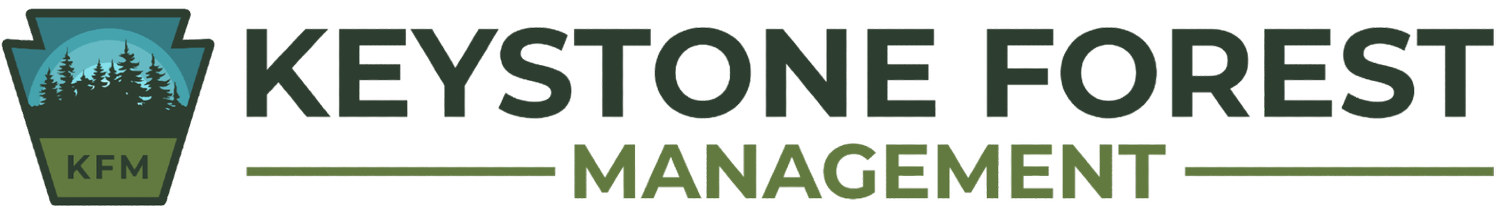 Keystone Forest Management