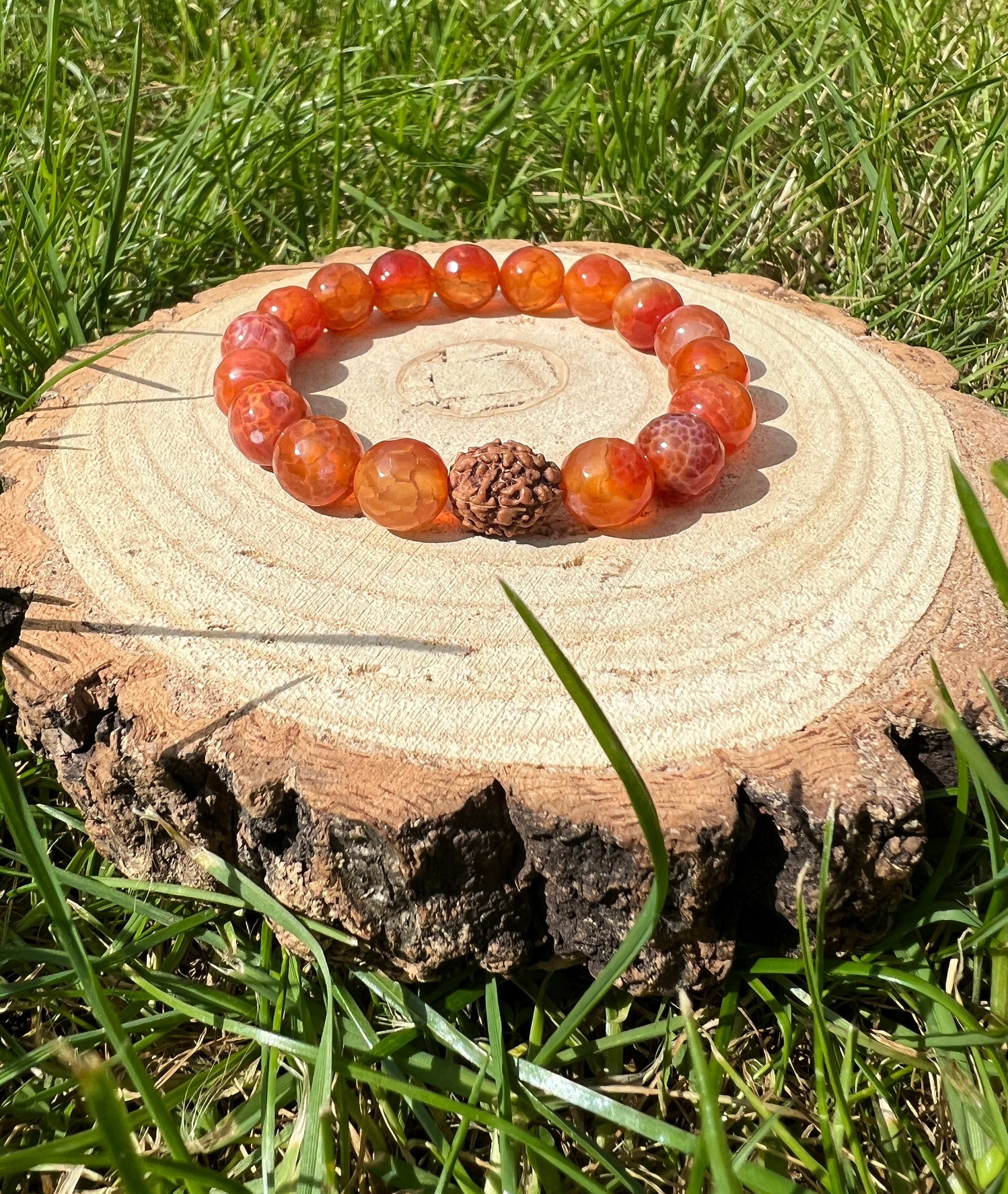 https://i.etsystatic.com/14605605/r/il/a2589d/3858788401/il_fullxfull.3858788401_r40n.jpg